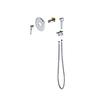 Смеситель встроенный с гигиеническим душем Timo Arisa 5309/00SM хром 250_100_2835198